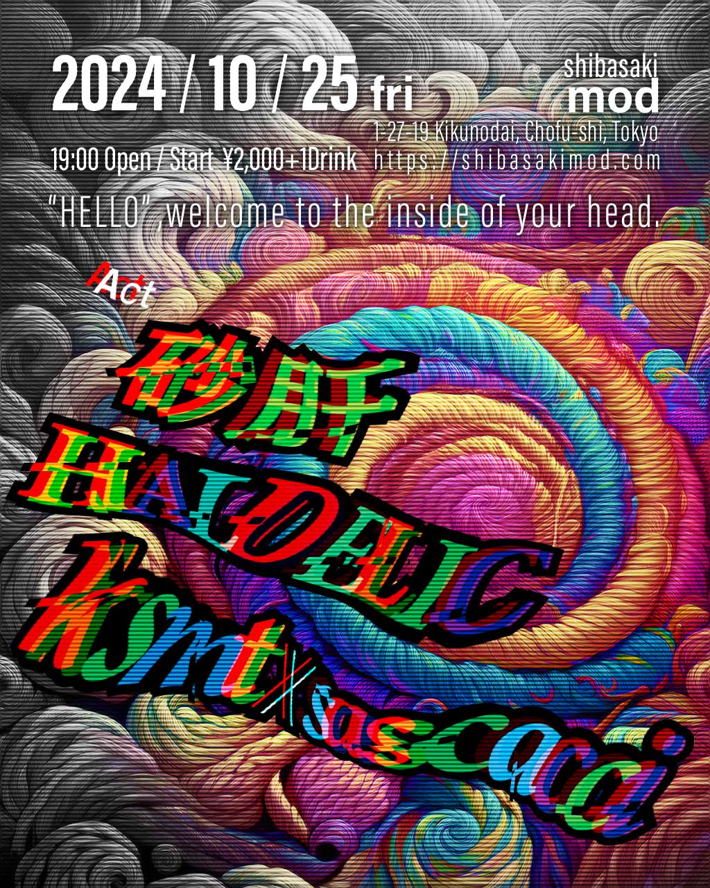 20241025