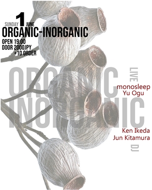 inorganic 300